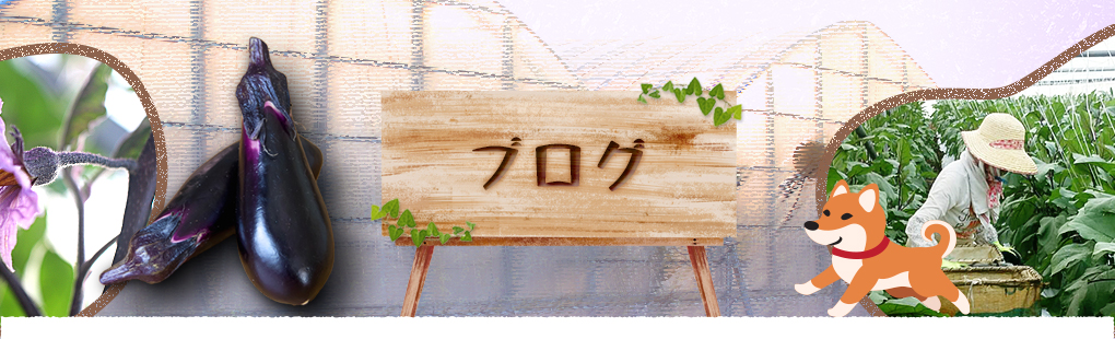 オフィシャルブログ