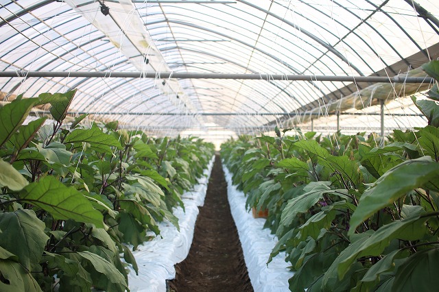 私たちが大切にしていること