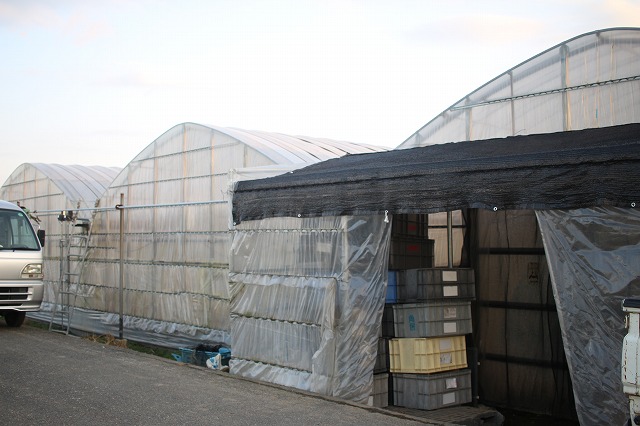 私たちが大切にしていること