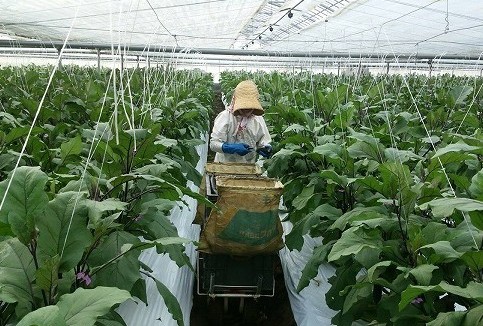 LINE_P20161122_154519